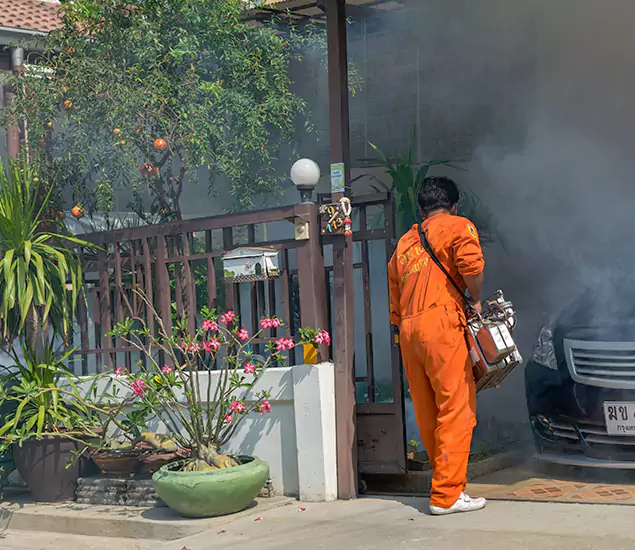 Your Proven Mosquito Fogging Company in O Brien, OR