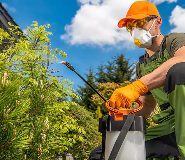 Your Best Bug Spray for Home Team in O Brien, OR