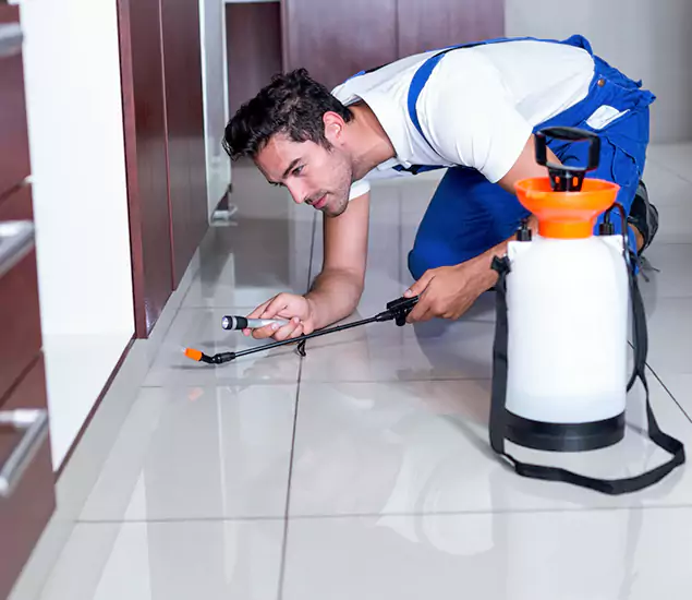 Reliable Professional Mouse Removal: Your Best Mouse Control Company in O Brien, OR