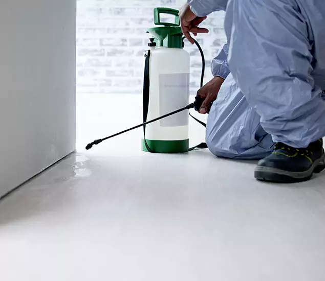 Affordable Pest Control Experts in O Brien, OR