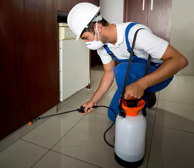 Advanced Termite Pre Treatment Experts in O Brien, OR