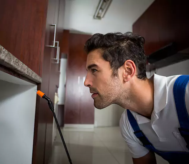 Expert Rodent in Attic Removal: Your Proven Pest Specialists in O Brien, OR