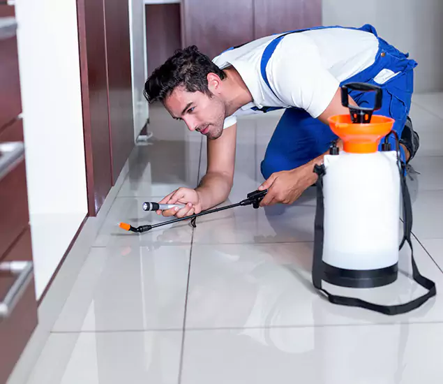 Advanced Slab Termite Treatment Experts You Can Trust&nbsp;in O Brien, OR