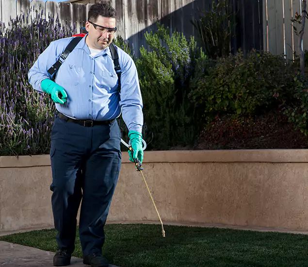 Reliable Termite Barrier Treatment Experts in O Brien, OR