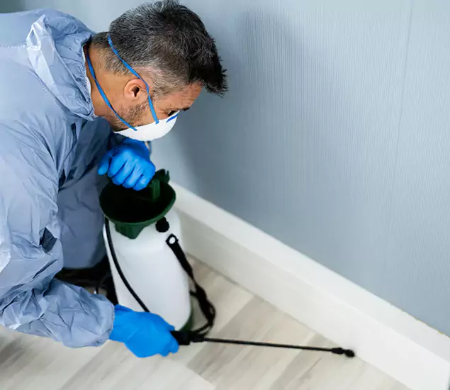 Reliable Termite Cost Experts in O Brien, OR