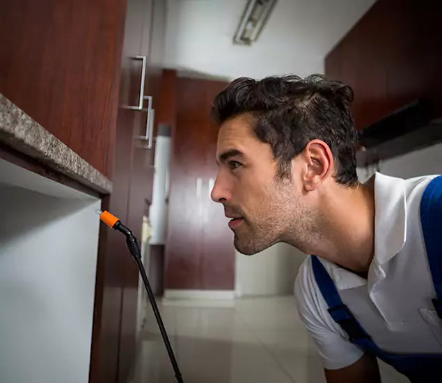 Termite Inspection Cost Experts You Can Trust in O Brien, OR