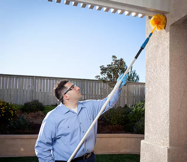 Your Trusted Wasp Removal Company in O Brien, OR