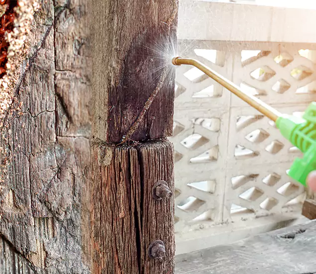 About Wood Termite Treatment Services in O Brien, OR