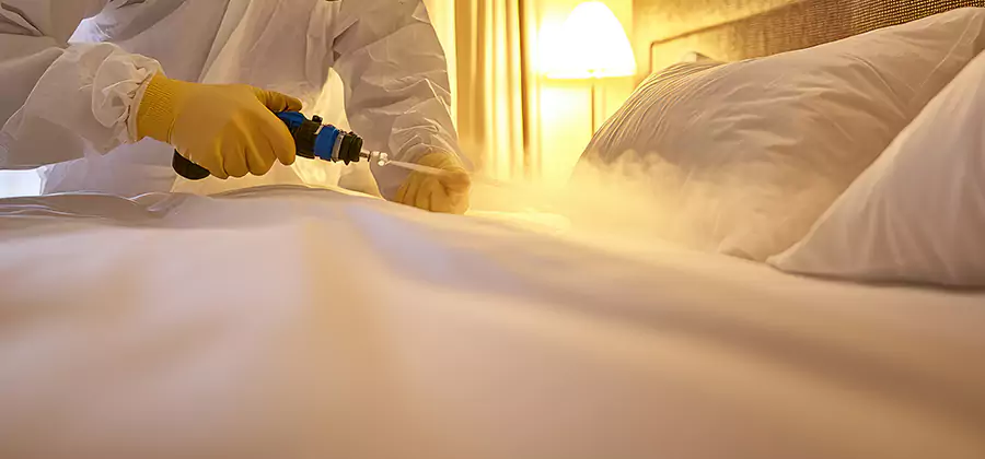 Bed Bug Steam Treatment Services in O Brien