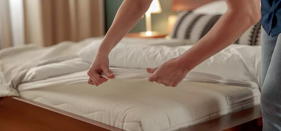 Bed Bug Extermination Services in O Brien