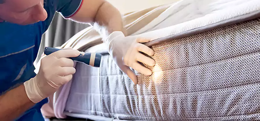 Residential Bed Bug Treatment Cost in O Brien