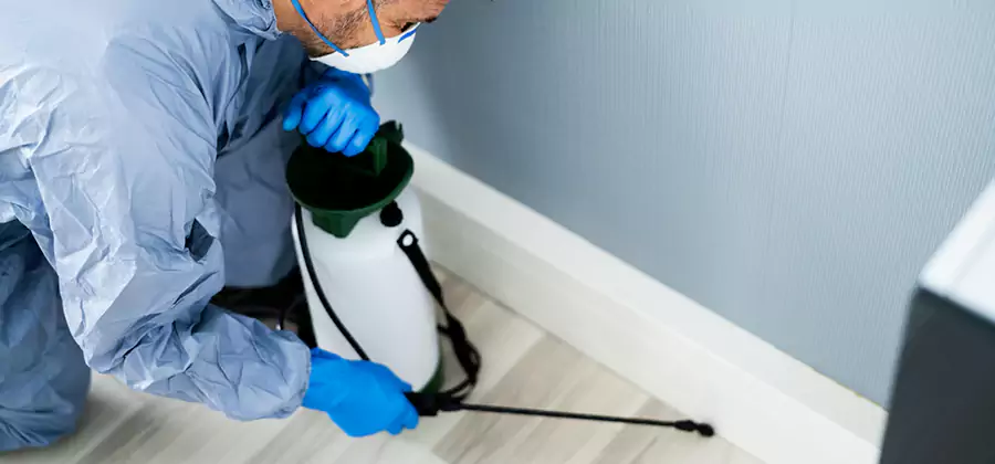 Fumigate Apartment Roaches in O Brien