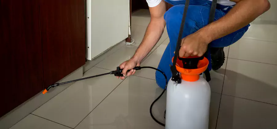 Indoor Mosquito Treatment in O Brien