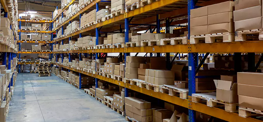 Warehouse Pest Control in O Brien