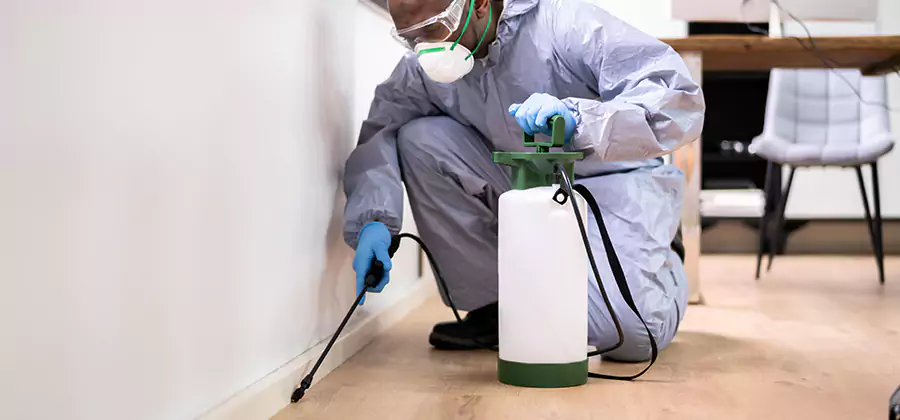 Long Lasting Mosquito Treatment in O Brien