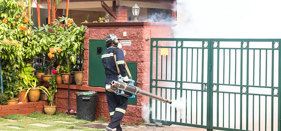 Backyard Mosquito Foggers Service in O Brien