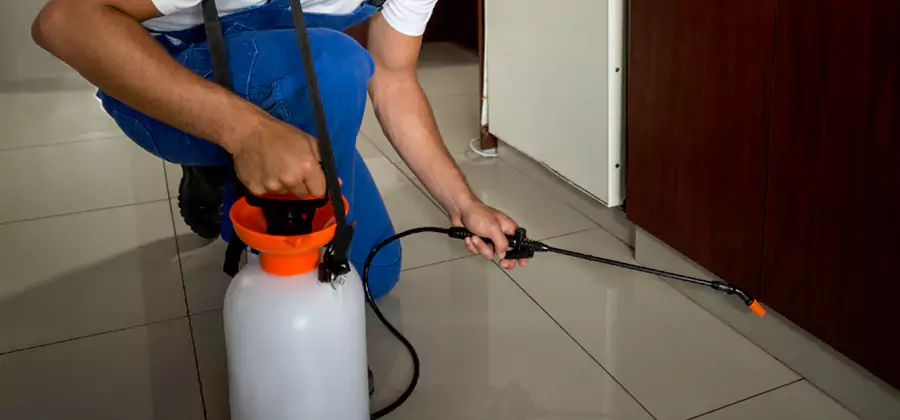 One Time Termite Control in O Brien