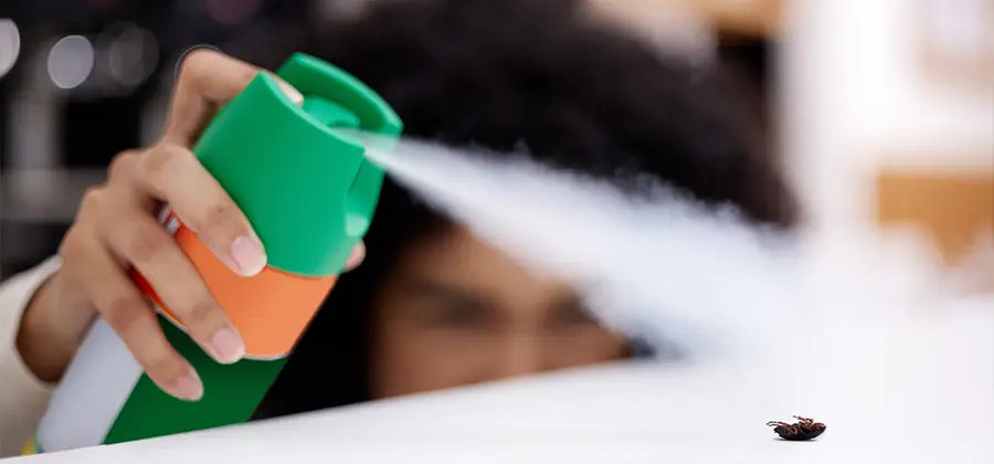Child Safe Bed Bug Treatment in O Brien