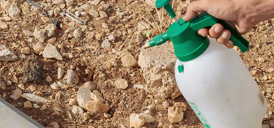 Heat Treatment Termite Cost in O Brien