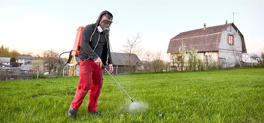 Flea and Tick Pest Control in O Brien