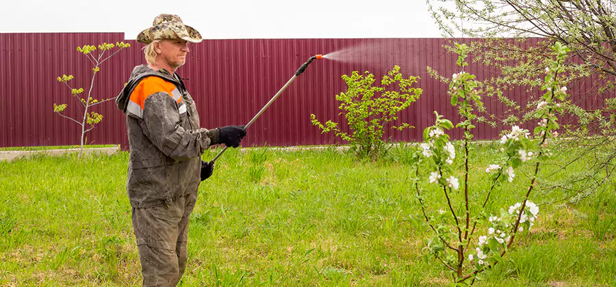 Flea and Tick Spray for Yard in O Brien