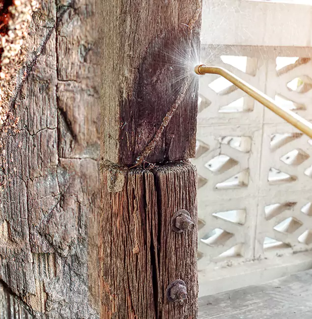 Why Choose Nutley Pest Control Pro for Attic Termite Treatment in O Brien, OR?