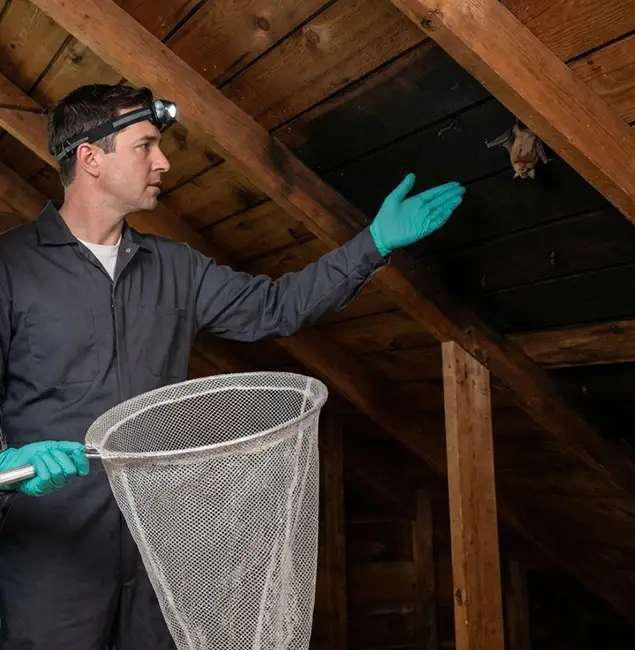 Why Nutley Pest Control Pro Is the Right Choice in O Brien, OR?