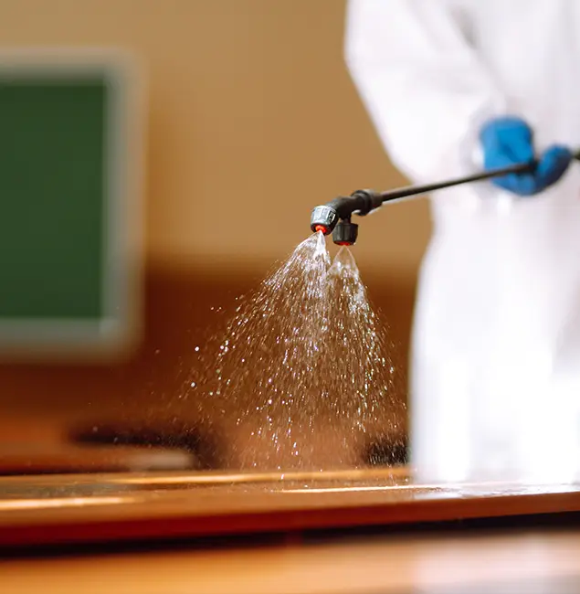 Why Choose Nutley Pest Control Pro for Bed Bug Chemical Treatment in O Brien, OR?