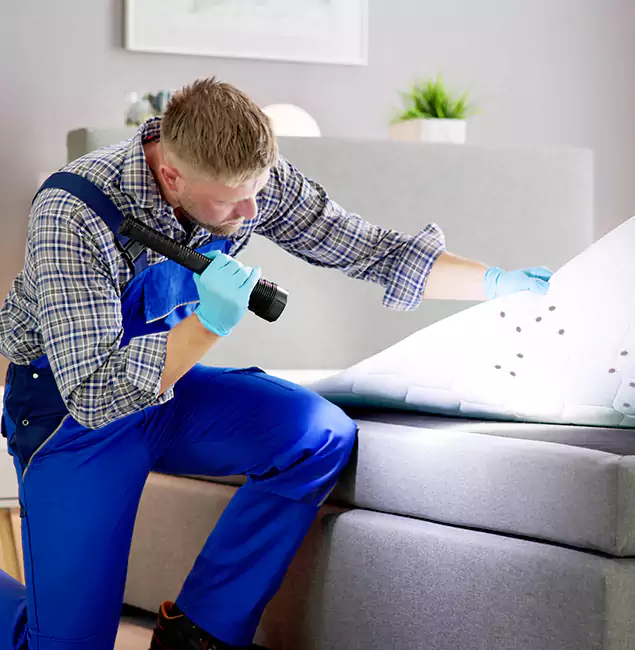 Why Choose Nutley Pest Control Pro for Bed Bug Exterminator Cost in O Brien, OR?