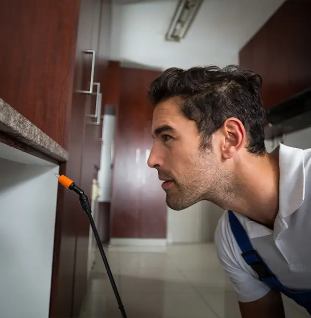 Why Choose Nutley Pest Control Pro for Bed Bug Removal Cost in O Brien, OR?