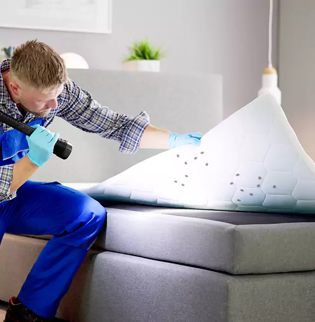 Why Choose Nutley Pest Control Pro in O Brien, OR?