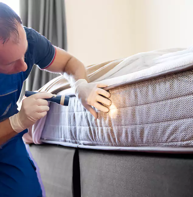 Why Choose Nutley Pest Control Pro for Bed Bug Services in O Brien, OR?