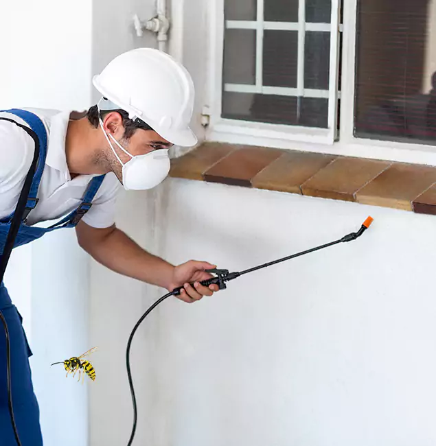 Why O Brien Property Owners Choose Nutley Pest Control Pro for Bee Nest Removal?