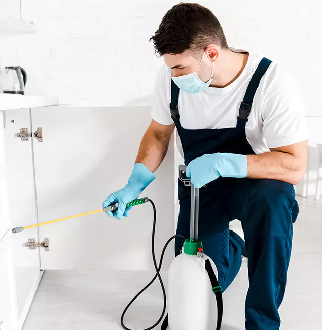 Why Choose Nutley Pest Control Pro for Emergency Pest Control in O Brien?