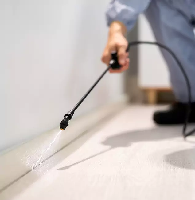 Why Choose Nutley Pest Control Pro for Termite Treatment in O Brien, OR?