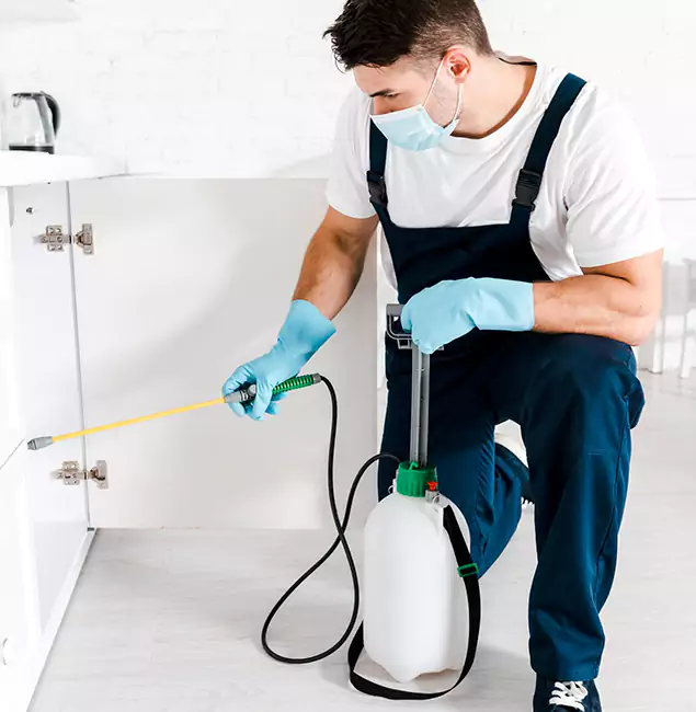 Why O Brien, OR Homeowners Trust Us for German Roach Control?