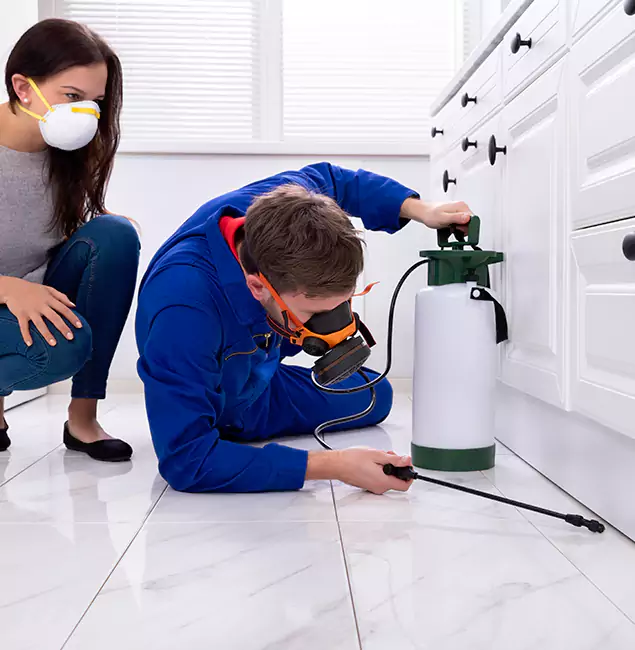 Why O Brien, OR Homeowners Trust Nutley Pest Control Pro for Roach Control?