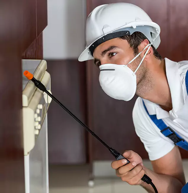 Why O Brien Homeowners Rely on Nutley Pest Control Pro for Tick Treatment?