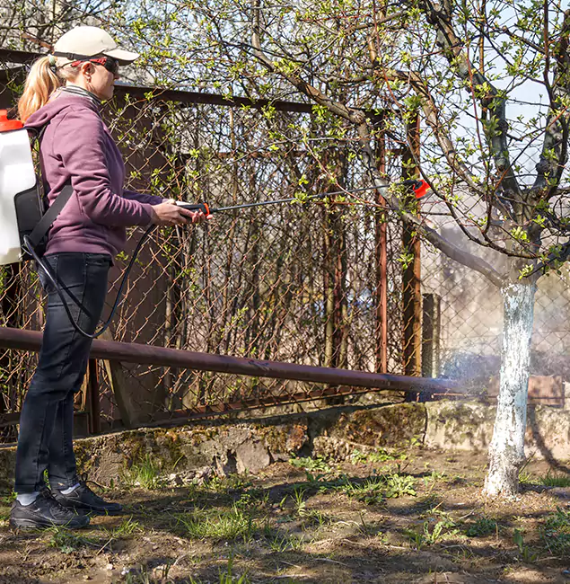 Why O Brien Homeowners Choose Nutley Pest Control Pro for Mosquito Abatement?