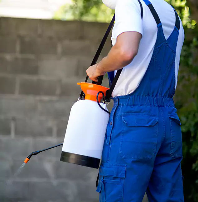 Why O Brien Homeowners Rely on Nutley Pest Control Pro for Mosquito Control?