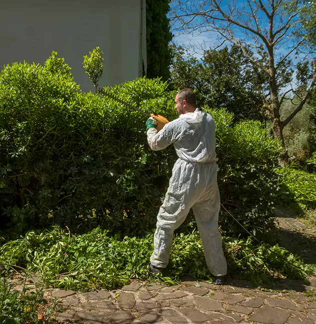 Why Nutley Pest Control Pro Leads Mosquito Control in O Brien, OR?