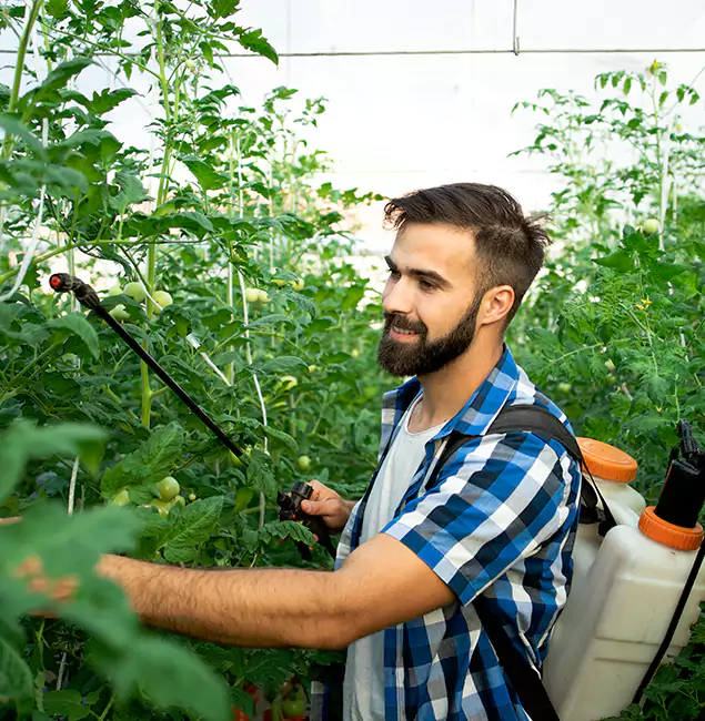 Why O Brien Homeowners Choose Nutley Pest Control Pro for Mosquito Spraying?