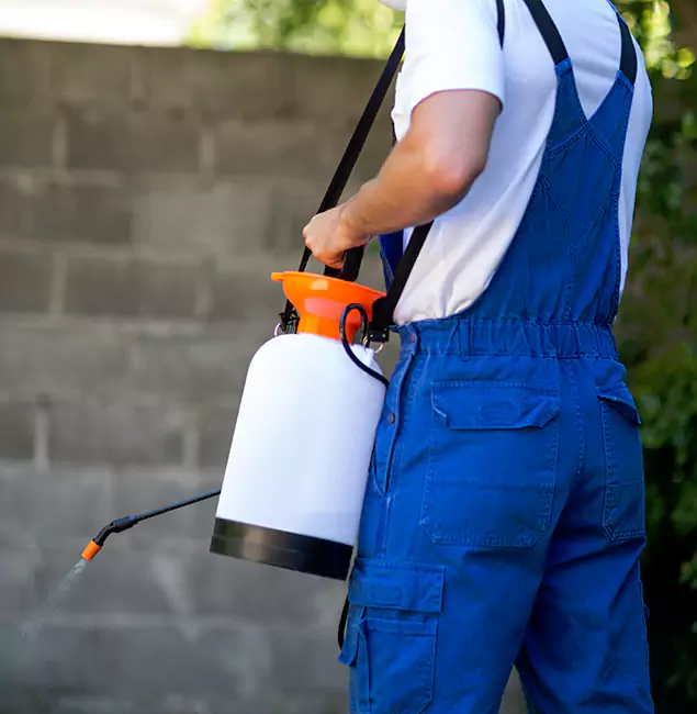 Why Nutley Pest Control Pro Delivers the Best Mosquito Control in O Brien, OR?