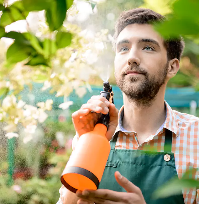 Why O Brien Homeowners Call Nutley Pest Control Pro for Mosquitoes in House?