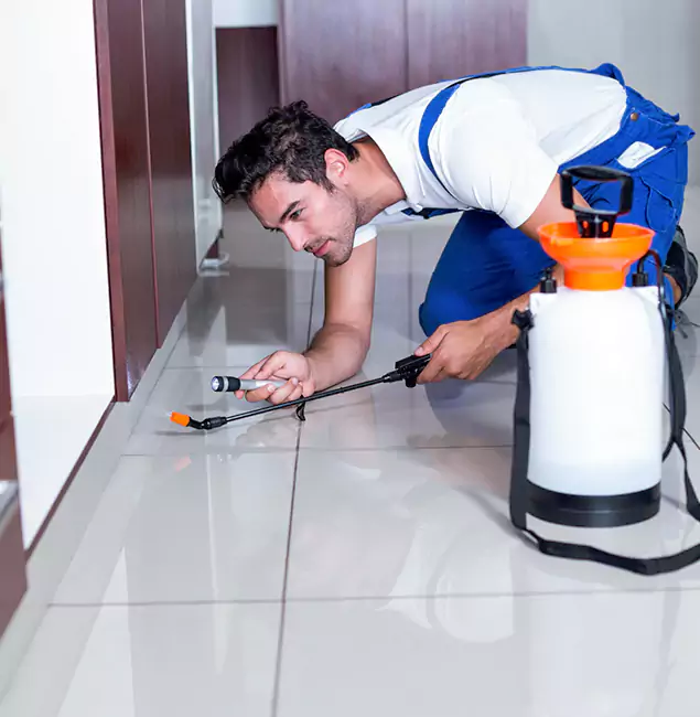 Why Nutley Pest Control Pro Is the Proven Choice in O Brien, OR?