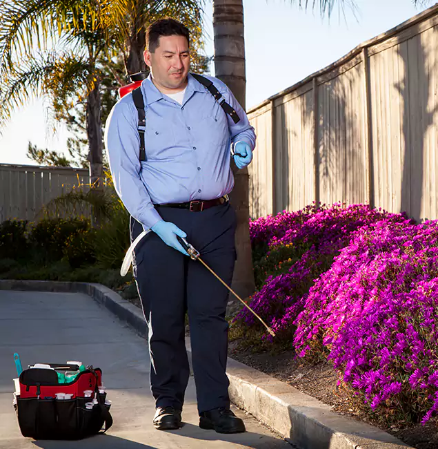Why Choose Nutley Pest Control Pro in O Brien, OR?