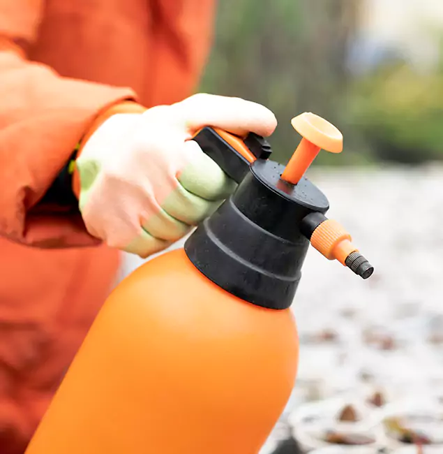 Why Choose Nutley Pest Control Pro for Orange Termite Treatment in O Brien, OR?