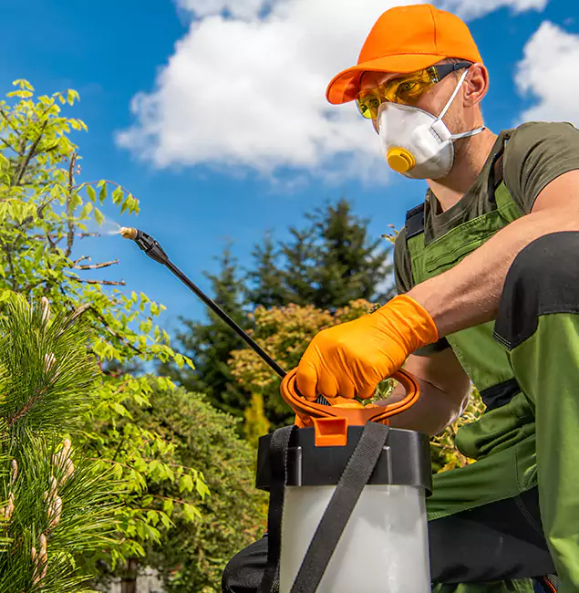 Why Choose Nutley Pest Control Pro for Outdoor Pest Control in O Brien, OR?