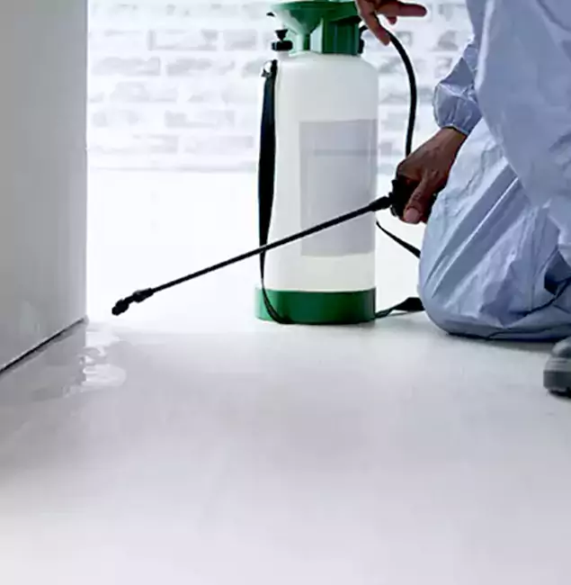 Why Choose Nutley Pest Control Pro for Rat Exterminator in O Brien, OR?