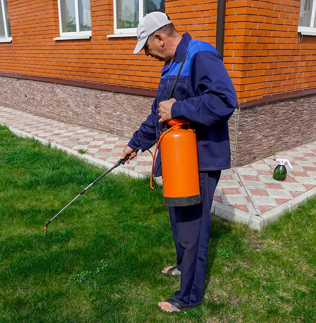 Why Choose Nutley Pest Control Pro for Residential Pest Control in O Brien, OR?